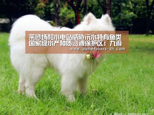 采砂场和水电站威胁沅水特有鱼类国家级水产种质资源保护区:九游首页(图4) nine game