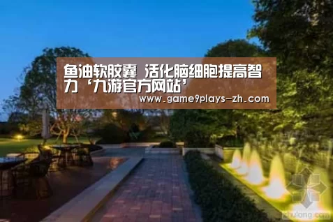 鱼油软胶囊 活化脑细胞提高智力‘九游官方网站’(图4) 九游