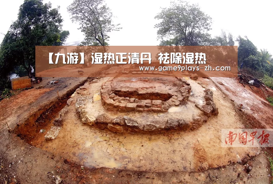 【九游】湿热正清丹 祛除湿热(图2) 九游