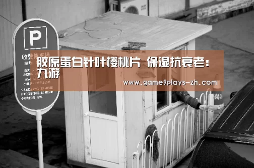 胶原蛋白针叶樱桃片 保湿抗衰老:九游(图4) 九游