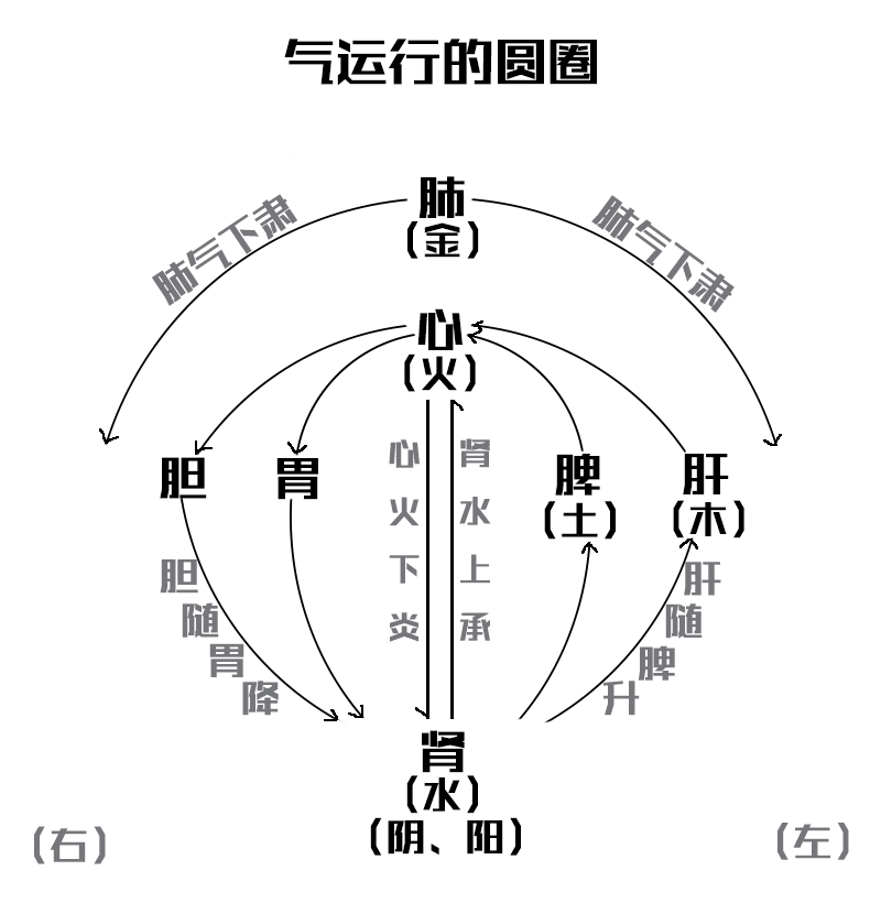 佰健堂钙VD软胶囊 预防骨质疏松|九游网页版(图1) 九游在线