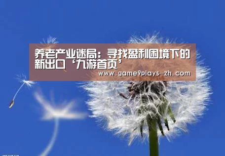 养老产业迷局:寻找盈利困境下的新出口‘九游首页’(图1) 九游