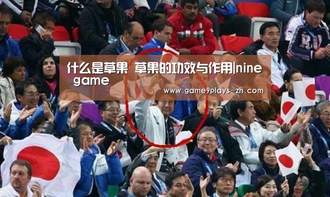 什么是草果 草果的功效与作用|nine game(图1) 九游官方网站