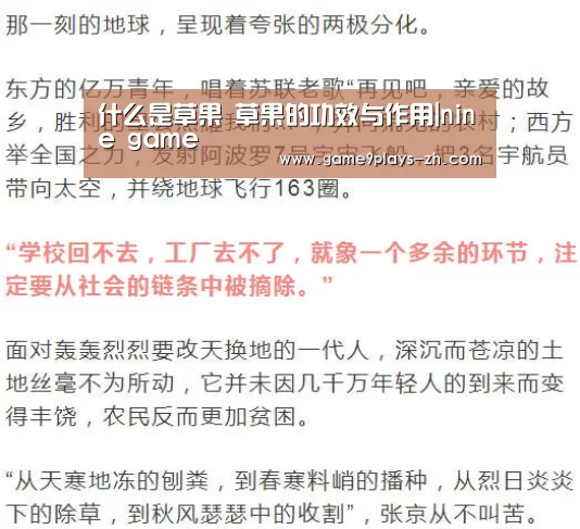 什么是草果 草果的功效与作用|nine game(图2) 九游网页版