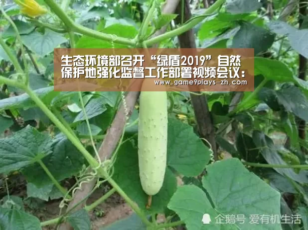 生态环境部召开“绿盾2019”自然保护地强化监督工作部署视频会议:九游在线(图3) 九游网页版